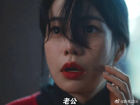 妍珍至死不悔改引热议