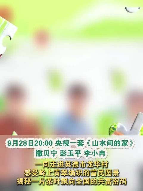 撒贝宁彭玉平李小冉探访英德龙华村，揭秘茶叶共富密码