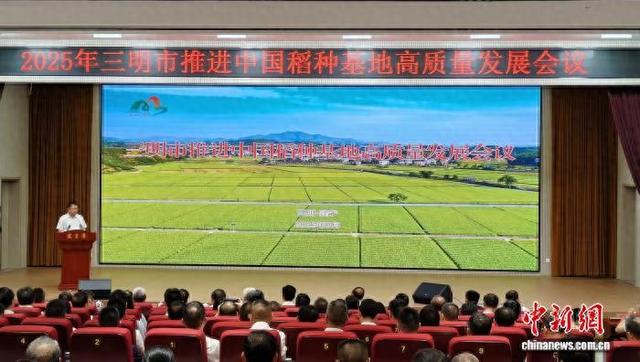 2025年三明市推进中国稻种基地高质量发展会议在建宁举行。 黄馨怡 摄