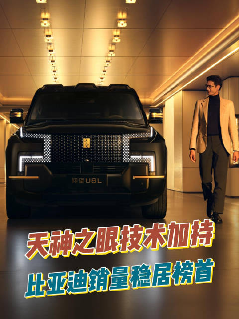 比亚迪业绩报告