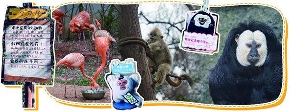 与三千动物合作：一座动物园的梦想与改变