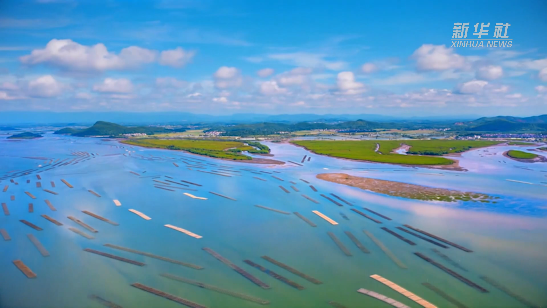 山海阳西 “味”动中国｜在绿水青山中打造产业支点