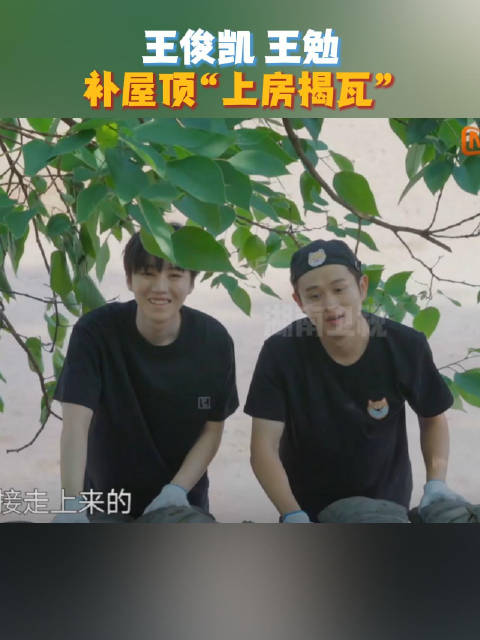 和@王勉__ 一起补屋顶，那场面完全是在“上房揭瓦”！