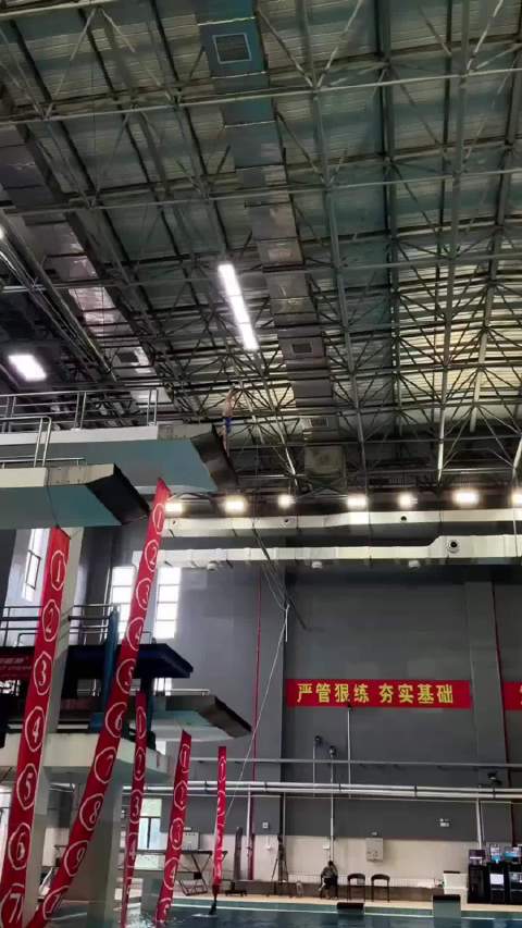 全红婵省队备战全运会，陈若琳继续主管训练