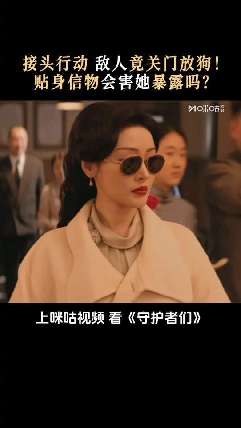 汪汪队出动！接头行动难道要暴露了吗