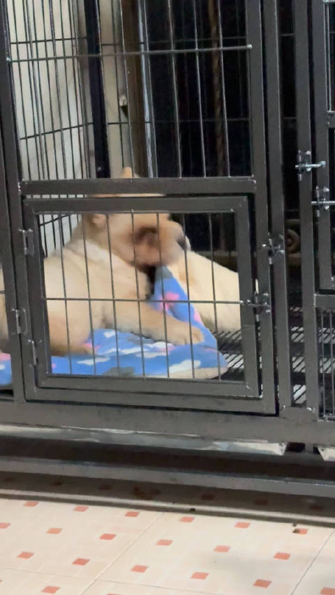 薛之谦锤娜丽莎合唱《陪你去流浪》引热议