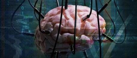 大部分老板，都活在虚构的世界里