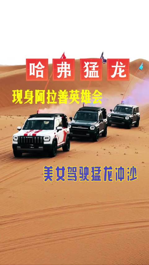哈弗猛龙现身阿拉善英雄会，美女驾驶猛龙豁沙，表现不输硬派越野
