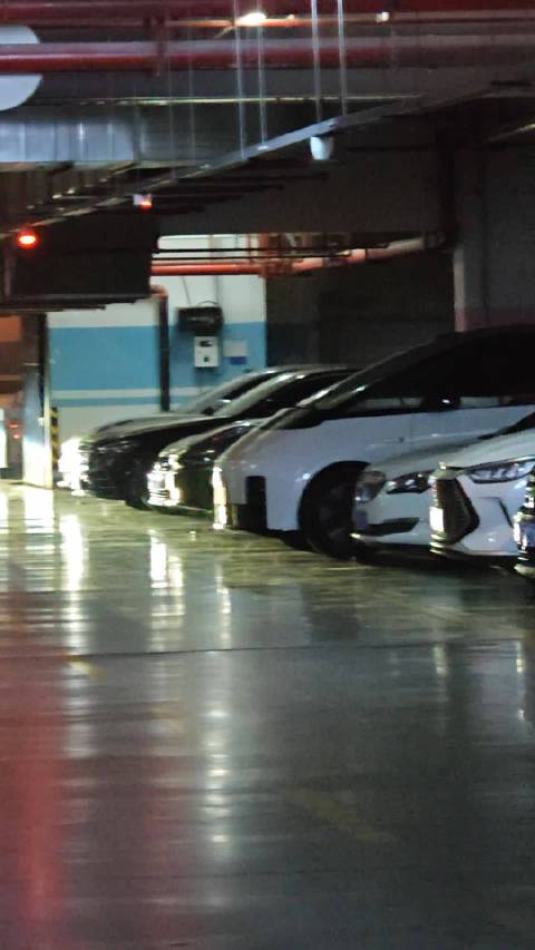 Mega的能见度的确是越来越高了