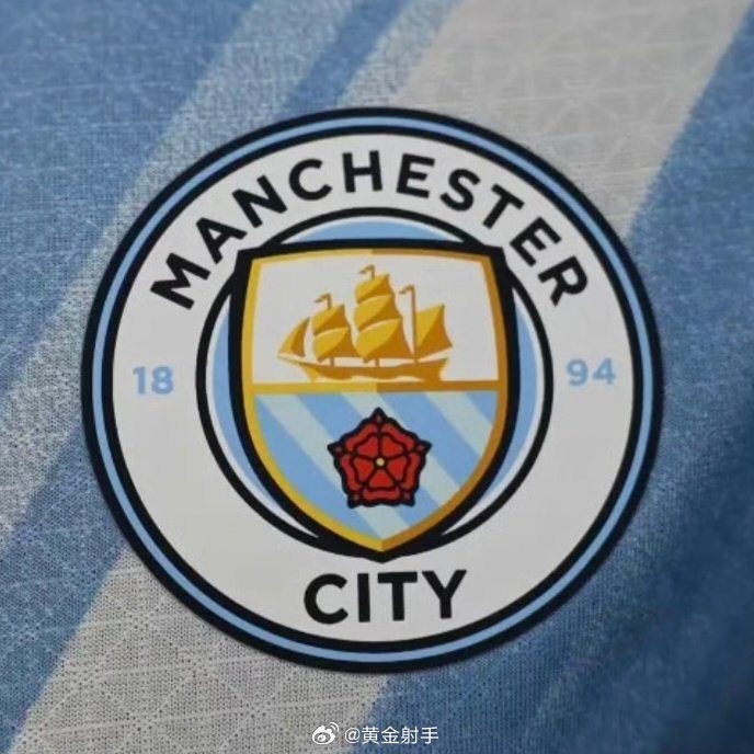 曼市双雄有意拜仁中场帕夫洛维奇，曼城视其为罗德里接班人