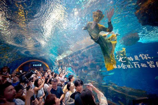 海洋公园上海 530e-4975e3f8c093b6e735d07c60cb5c94c3.jpg