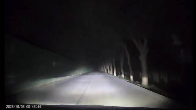 光是看视频都吓得一身冷汗，如果视频车停下来会发生什么？