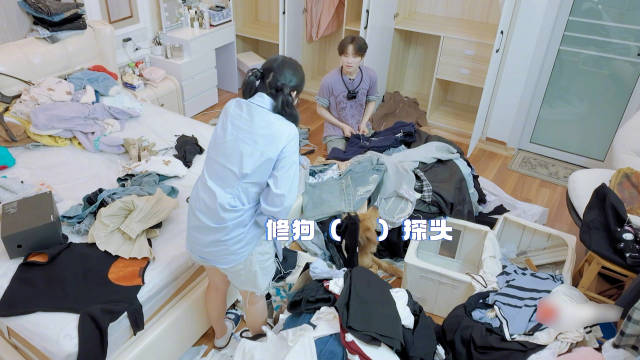 井胧帮李莎旻子清衣柜误埋狗狗，乱室英雄今晚播出