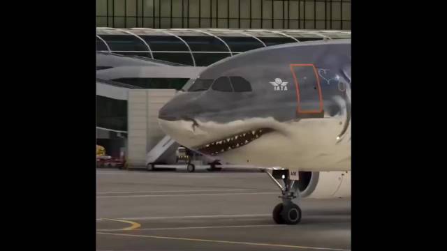 如果飞行员穿得像海王一样，那就更酷了