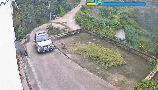 手动挡上坡起步操作失误致熄火溜车