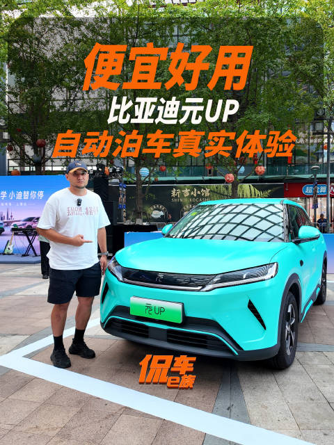便宜好用，比亚迪元UP自动泊车真实体验