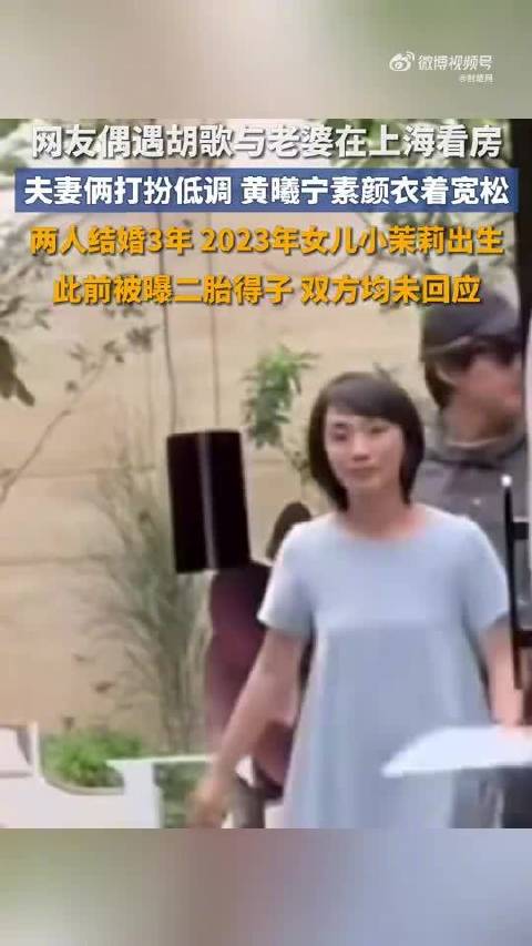 胡歌带老婆上海看房