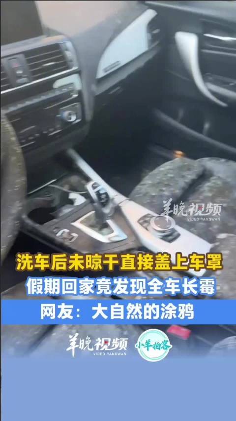 安徽一男子洗车未晒干致全车发霉