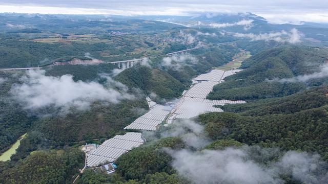 红河州弥勒市爱莓庄西三农场。周杰 摄