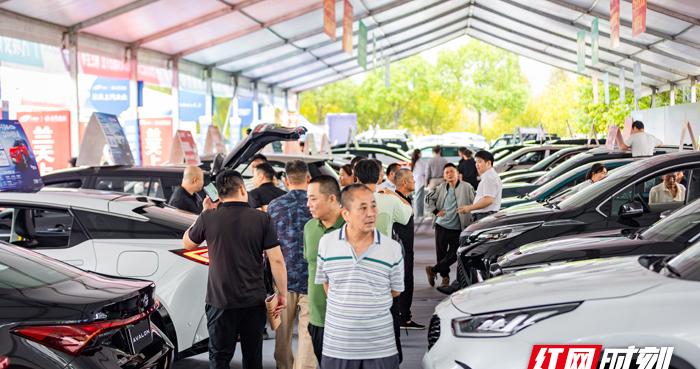 2025年新能源汽车下乡暨第十五届湖南汽车巡展益阳站将于10月24日开展