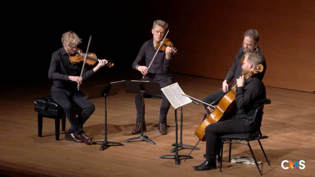 丹麦弦乐四重奏：贝多芬 致爱丽丝 Fur Elise