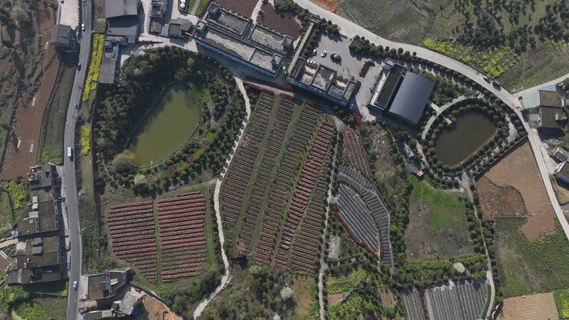 “毕节好物”金沙禹谟酱醋的品质密码