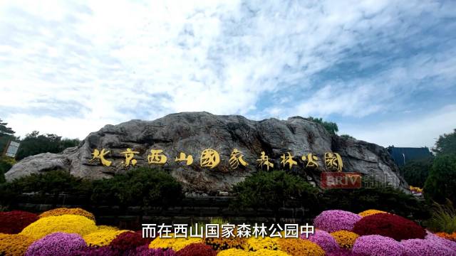 标本与科普陈列