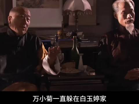 大宅门:白老三要替白景琦当药行行会的会长
