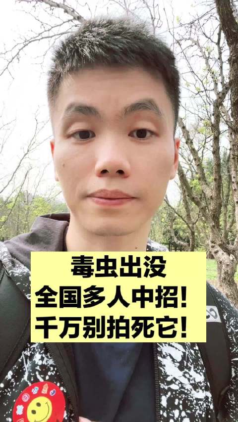 像蚂蚁一样的小虫子，碰到别拍死，小心毒液腐蚀你的皮肤！