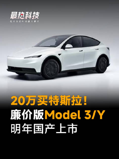 20万买特斯拉！廉价版Model 3/Y明年国产上市