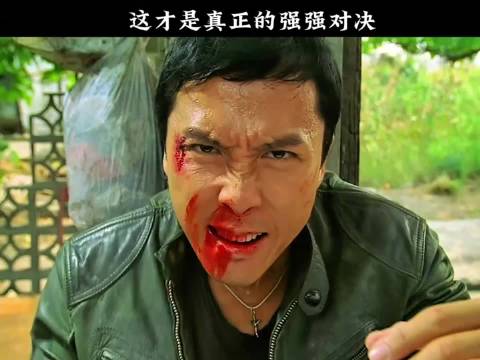 15.甄子丹邹兆龙吴京张晋托尼贾