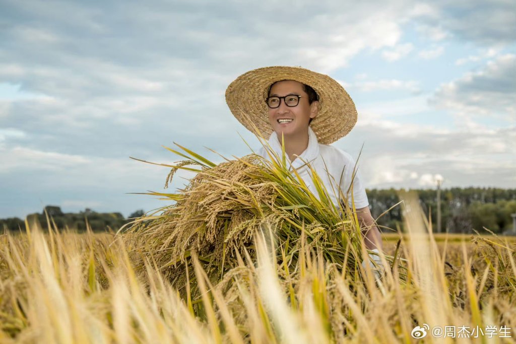 周杰在田间地头