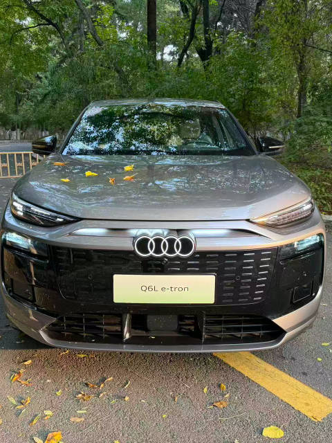 品牌保值品质“保驾”一汽奥迪Q6L e-tron试过才知有多好！