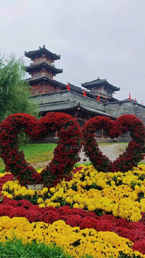 山西秋景如诗，胡杨金染云冈、雁门秋草映霞