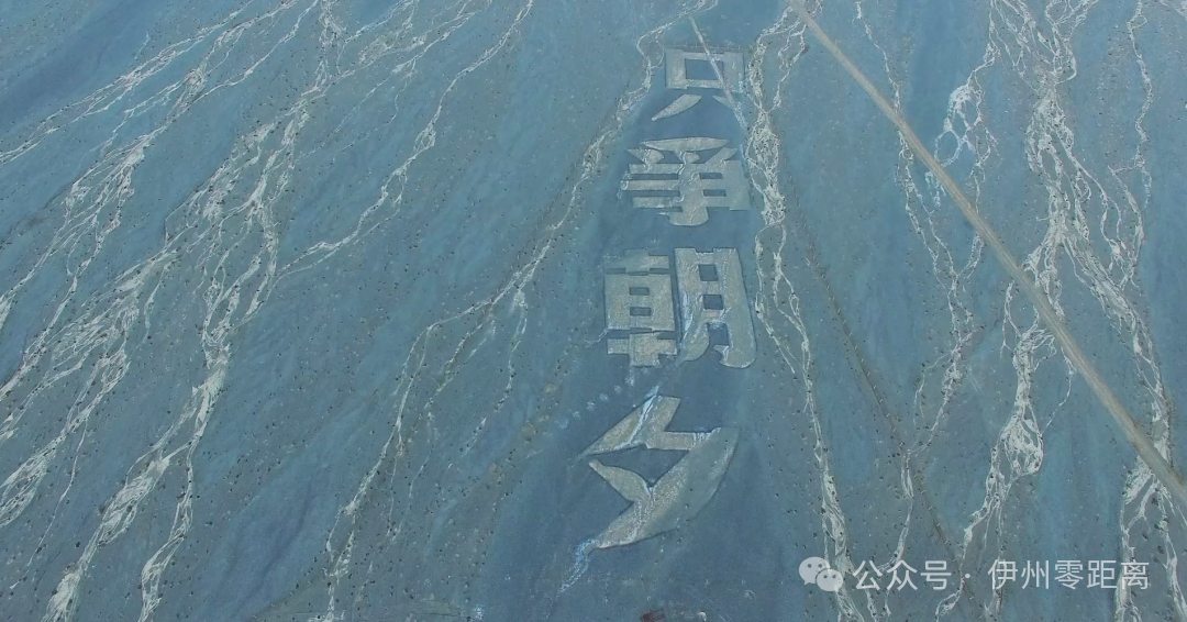 巨型航標大字——「只爭朝夕」航空拍攝。融媒體中心記者 郭子毅攝