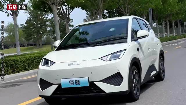 你能买得起比亚迪海鸥，但你能养的起吗？