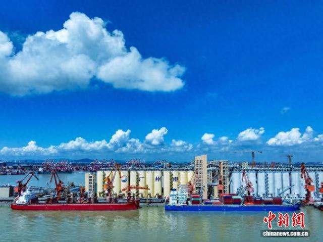 广州港南沙粮食通用码头全景。(广州港股份有限公司南沙粮食通用码头分公司供图)