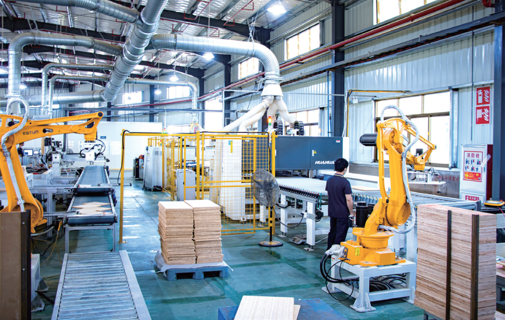 2023年10月24日,福建南平龙竹工厂,板材加工车间(林启建/摄)