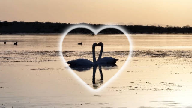 秋日祖国大地每一帧皆壁纸