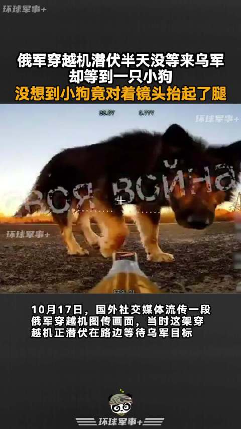 俄军穿越机潜伏遇小狗抬腿