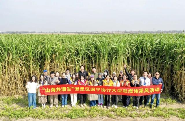 《山海情》的“续集”来了！比电视剧更精彩……