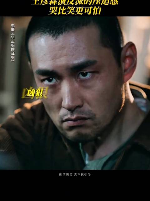 《毕正明的证明》王彦霖演的真的很不错