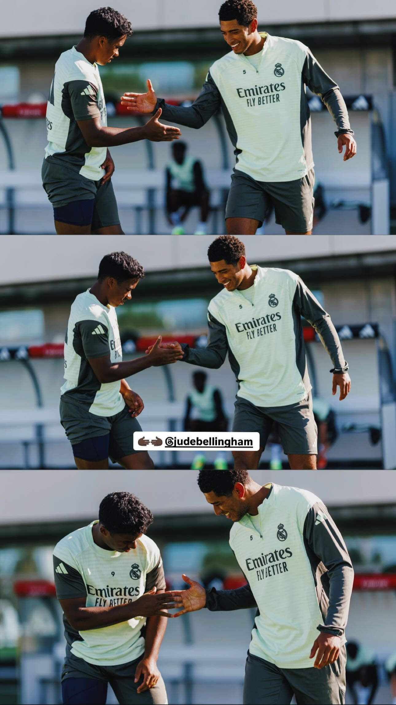 转发恩德里克的快拍