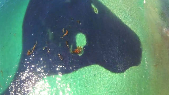 纪录片 世界怪异奇观 2 Weird Wonders of the World 2 1080p 英文字幕 纪录片品鉴团