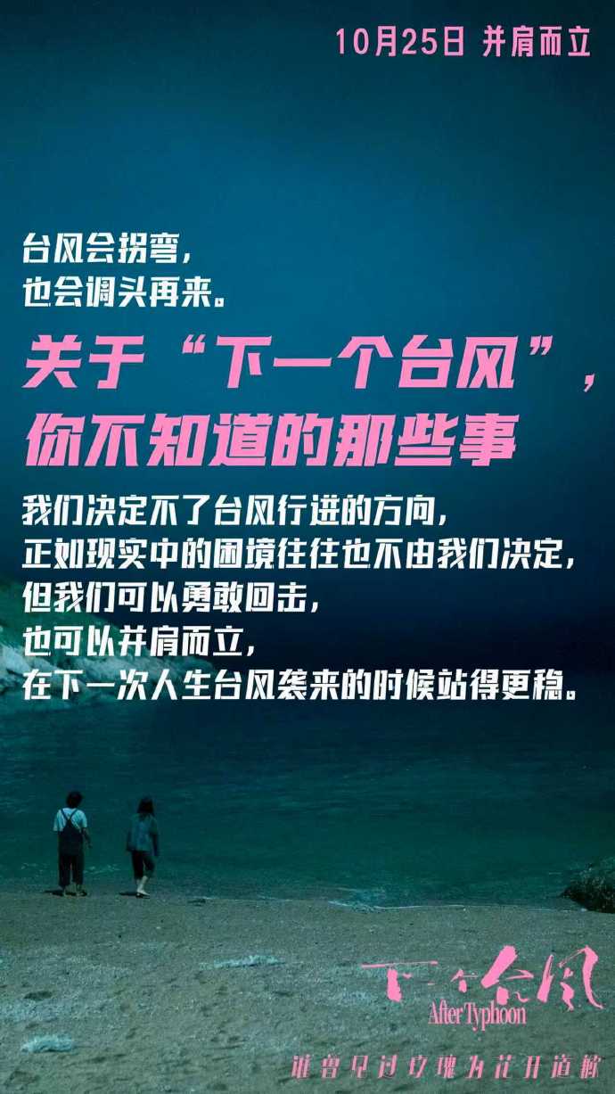 《下一个台风》海报