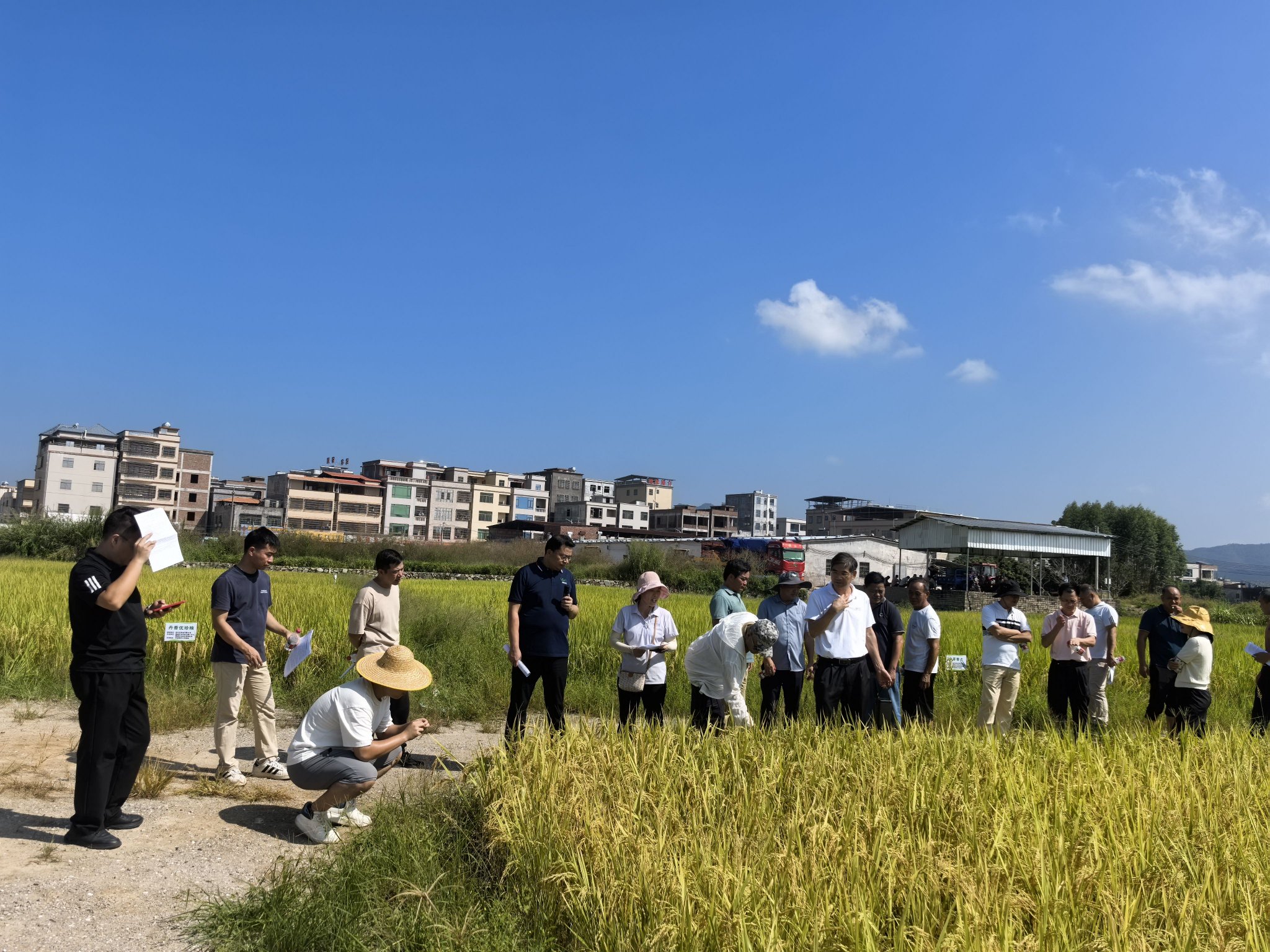 怎么把网页背景色