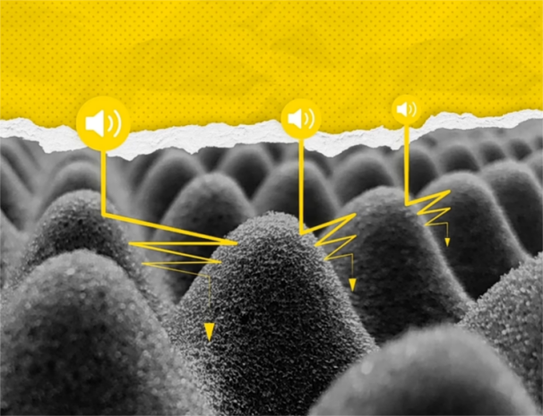 问界 M9 用什么轮胎好才能从容驰骋，静享舒适驾乘？