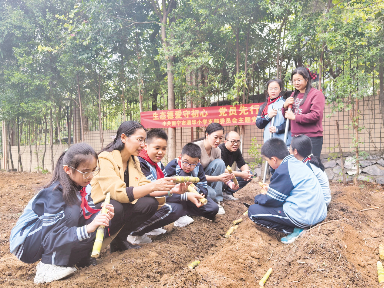 教师带领学生体验甘蔗种植,以项目式学习的方式提高学生综合素养。 (田海清 摄)