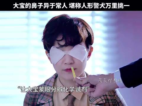 大宝鼻子异于常人 堪称人型警犬万里挑一！ 焦俊艳 李现 张若昀 法医秦明