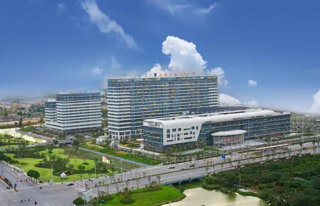 温医附二医龙湾院区 微信公众号“龙湾发布” 图